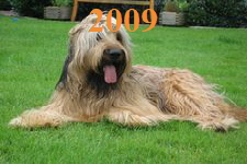 Abby 2009